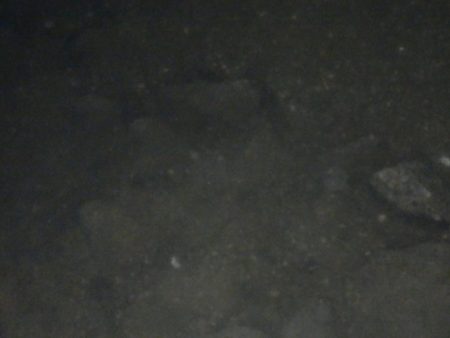 交通事故⁇再現氏は‼ゼロ~、、、